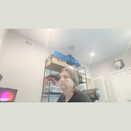 Webcam preview